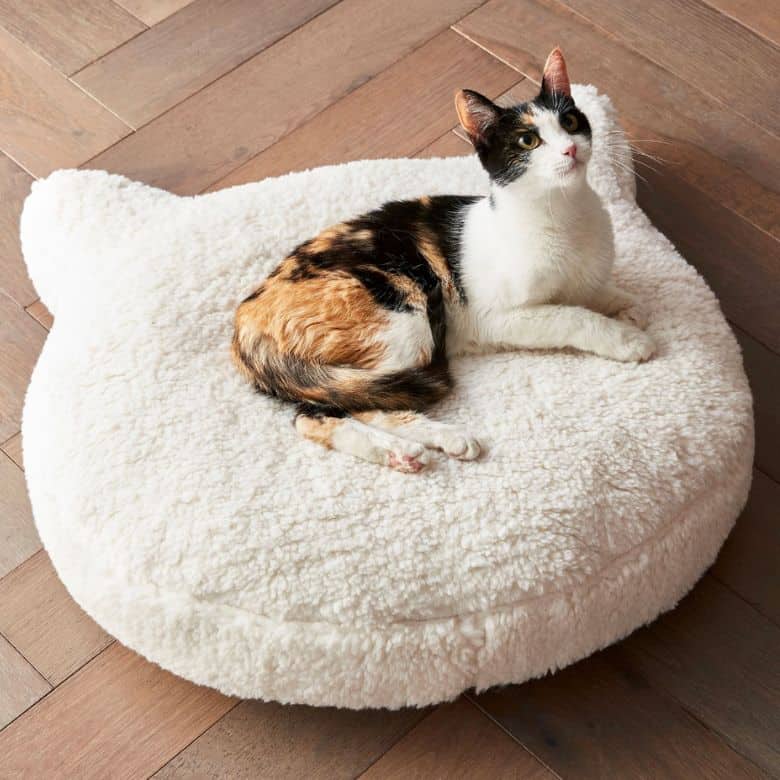 A calico cat laying on a white cat bed